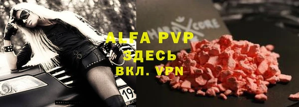 прущие грибы Белокуриха