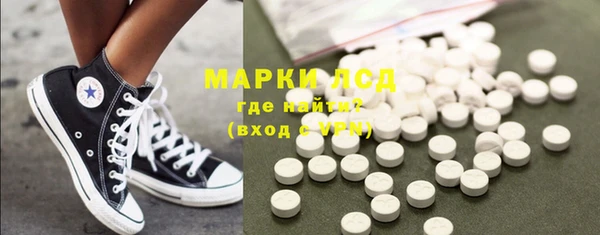 прущие грибы Белокуриха