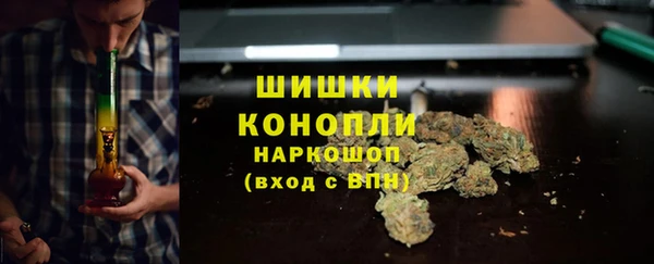 прущие грибы Белокуриха