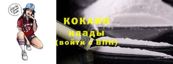 прущие грибы Белокуриха