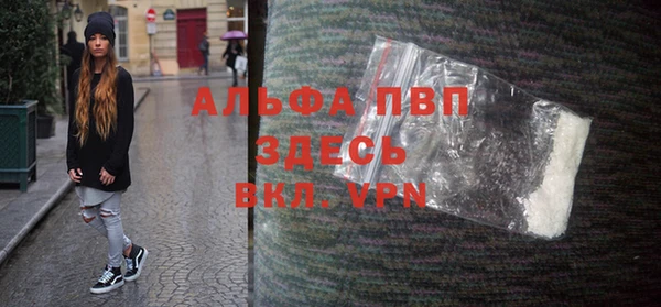 прущие грибы Белокуриха