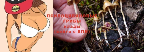 прущие грибы Белокуриха