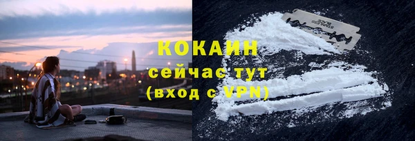 прущие грибы Белокуриха