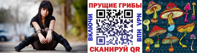 Псилоцибиновые грибы Cubensis  Первомайск 